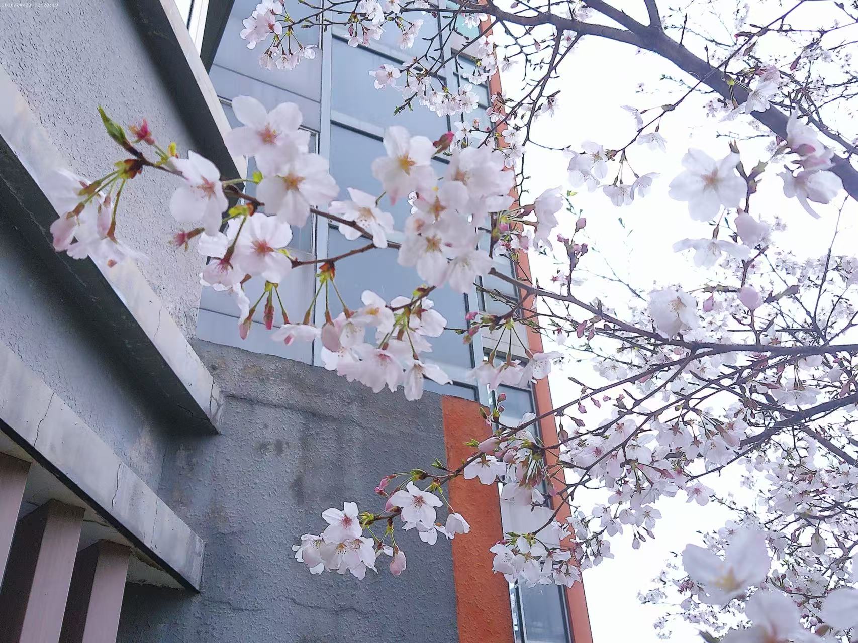 photo1